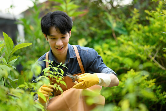 Young Asian worker pruning saplings with scissors, smiling while working in lush greenery. - Powered by Adobe