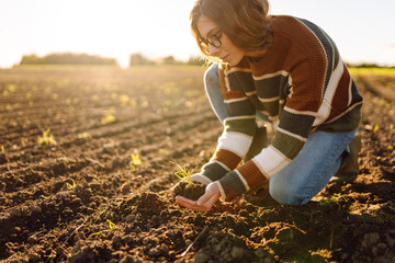 Hands of a young female farmer holding a young sprout in the ground while standing in an...