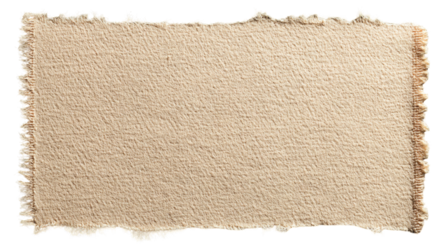 A piece of off-white, textured paper.  It's rectangular and ripped, with frayed edges