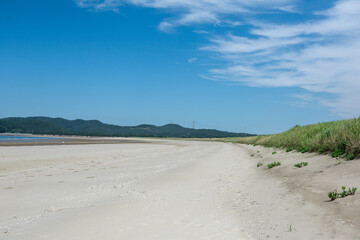 The beautiful landscape of seashore on summer.