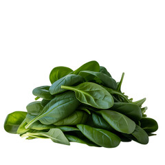 Lush pile of fresh dark green baby spinach leaves with a healthy sheen, presented against a deep black background.