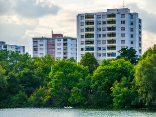 Landscape by lake with city buildings behind green trees, swimming swan family