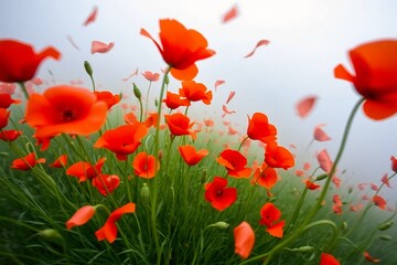 Fototapeta premium Expressive floral scene of red poppies moving in the wind, perfect for nature, art, and decorative use.