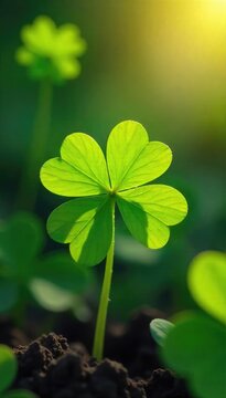A four-leaf clover bathed in sunlight, symbolizing unexpected fortune and serendipitous blessings; a concept of divine intervention and fortunate circumstances , magic, lucky