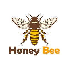 Honey bee vector illustration, Honey bee vector, Bee illustration, Bee vector, Bee svg.