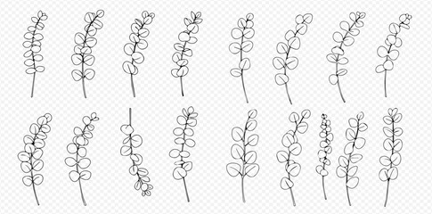 Collection of sixteen line art eucalyptus sprigs, varying in leaf shape and arrangement. © Lunara Arts