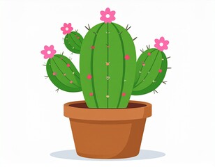 cactus in a pot