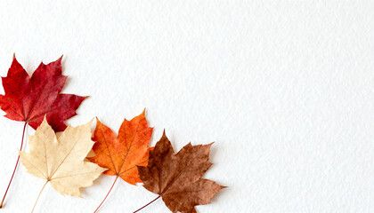 Seasonal design background with autumn leaves and large empty space