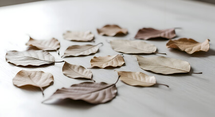 Dried Leaves on a White Surface