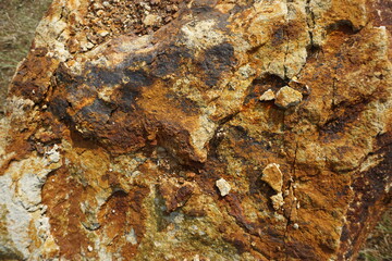 The surface of a rock from a mountain has a unique texture because it has a golden color like the...