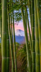 Fototapeta premium Majestic mount fuji seen through a lush bamboo forest at sunset