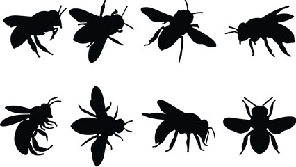 Bee silhouette collection, black insect icons, flying bee poses, vector illustration, wing detail, nature design, pollinator, entomology