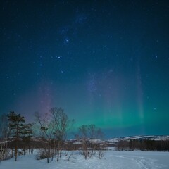 Minimal winter night scene with deep blue negative space