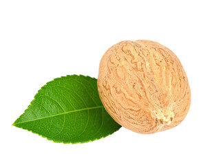 Obraz premium Walnut and leaf with transparent background