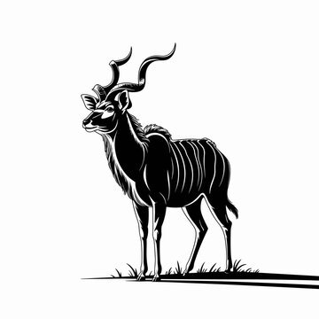 Majestic Kudu Antelope Illustration
