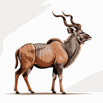 Majestic Kudu Antelope Illustration