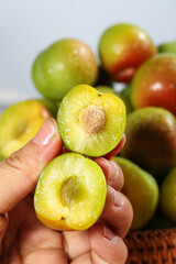 Cut Fresh Plums with Yellow-Green Pulp Displayed in Hand Against Light Background