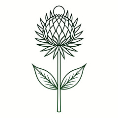 black and white flower