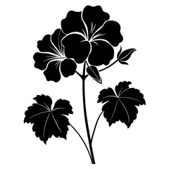  black and white flower