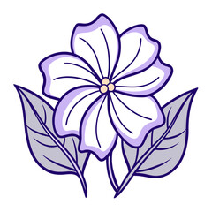 vector illustration of a periwinkle flower