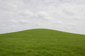 Fototapeta premium Lush green grass covers a gently sloping hill, meeting a cloudy sky in a peaceful and serene landscape