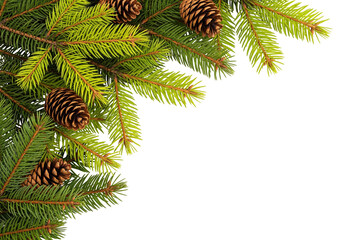 Obraz premium Evergreen Branches and Pinecones Holiday Arrangement on White Background