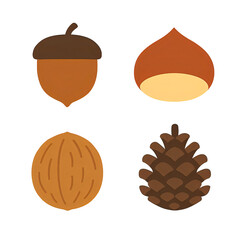 秋の木の実コレクション｜Autumn Nuts Collection