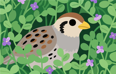 Bird close-up vector image