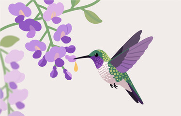 Bird close-up vector image