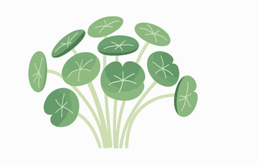 Obraz premium Plant close-up vector image