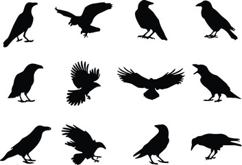 Crow silhouette collection, black bird icons, flying and perched poses, vector illustration, nature design, avian motion, wildlife, anatomy