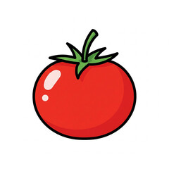 tomato vector illustration
