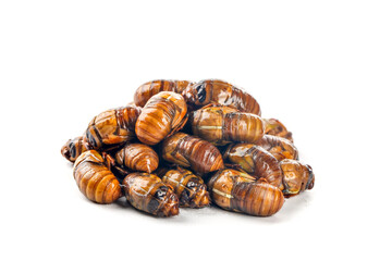 Golden Cicada Pupae Shells Asian Delicacy Food Ingredient Henan Shandong China