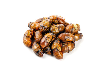 Golden Cicada Shells Asian Delicacy Shandong Traditional Food Protein Source
