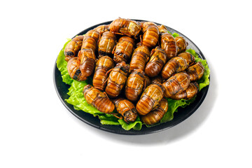 Silkworm Pupae Traditional Asian Food Delicacy Served on Black Plate with Lettuce Garnish