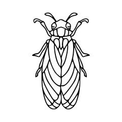 line art of a detailed insect