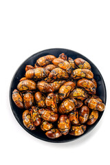 Roasted Cicada Pupae Asian Delicacy Street Food Insects Protein Snack in Bowl