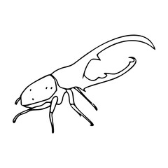 line art of a giant scarab beetle