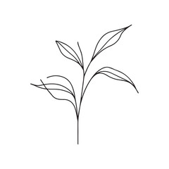 Minimalist Line Art of a Plant with Leaves