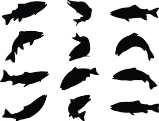 Fish silhouette collection, black aquatic icons, marine species shapes, vector illustration, underwater life, ocean design, sea animal, biology