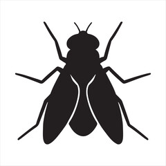 Black silhouette of a common housefly insect with spread wings and legs on a white background