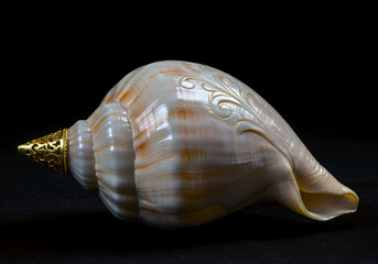 An ornate carved conch shell, a sacred Shankha, with a detailed golden tip isolated on a black background