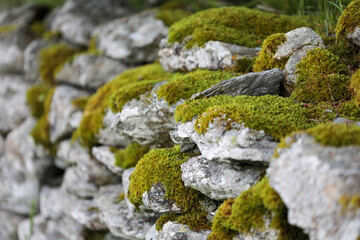 Forteresse de Mousse