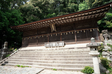 宇治上神社 本殿