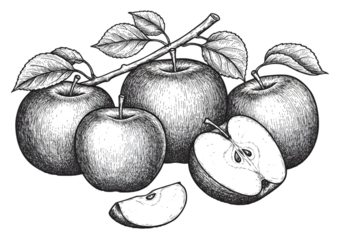 Illustration Of Apples With Green Leaves On Branch On Transparent Background