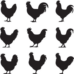 Fototapeta premium A vector illustration of a rooster's beak and head is a silhouette of a cartoon hen, a symbol of agriculture and farm poultry