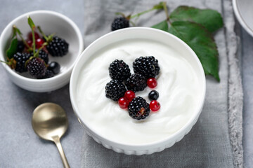 Super healthy bowl of thick greek yogurt and fresh berries, rich in Protein and Calcium diet dessert