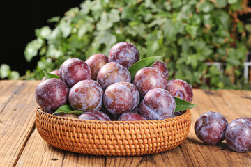 Fresh Red Purple Plums in Wicker Basket on Rustic Wood Table with Green Garden Background