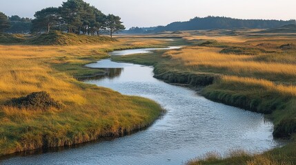 Winding stream through golden meadow, serene landscape at dawn