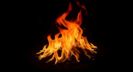 Fototapeta premium Fire flames on a dark background